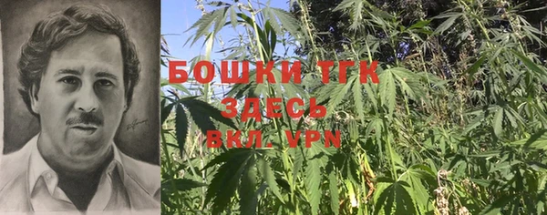 спиды Новокубанск