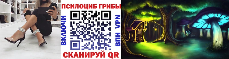 Псилоцибиновые грибы Cubensis  купить закладку  Рузаевка 
