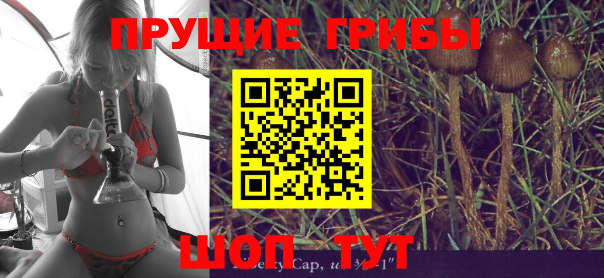 Псилоцибиновые грибы Magic Shrooms Рузаевка