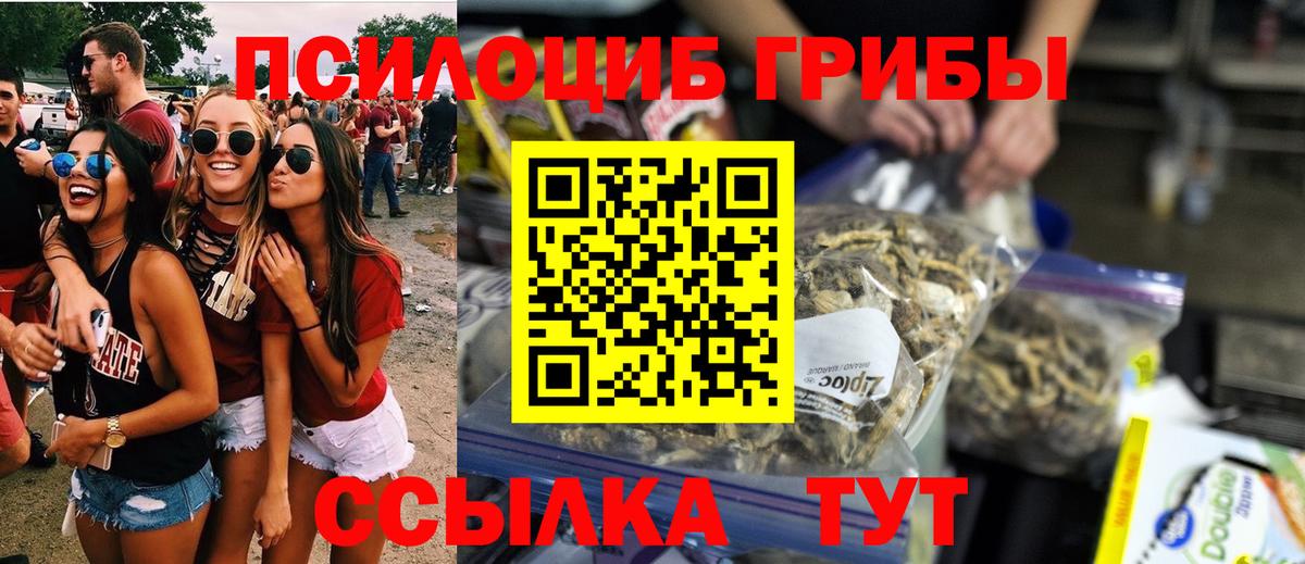 Галлюциногенные грибы мицелий Рузаевка