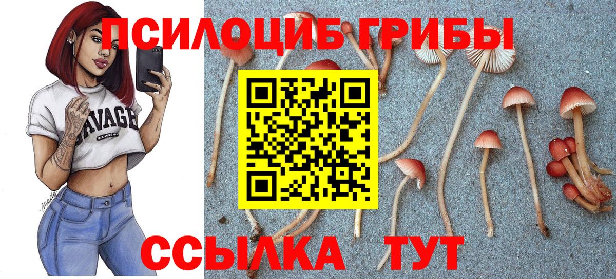 Псилоцибиновые грибы прущие грибы  Вход с VPN  Рузаевка 